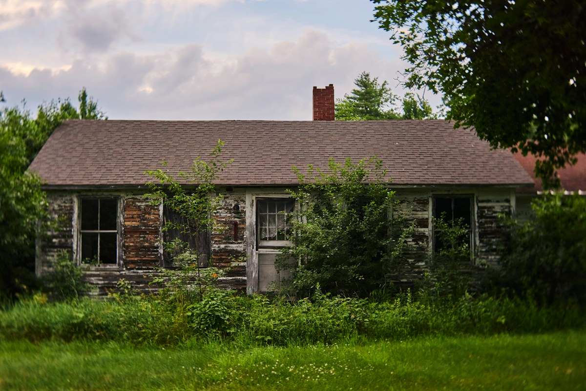 tax lien investing